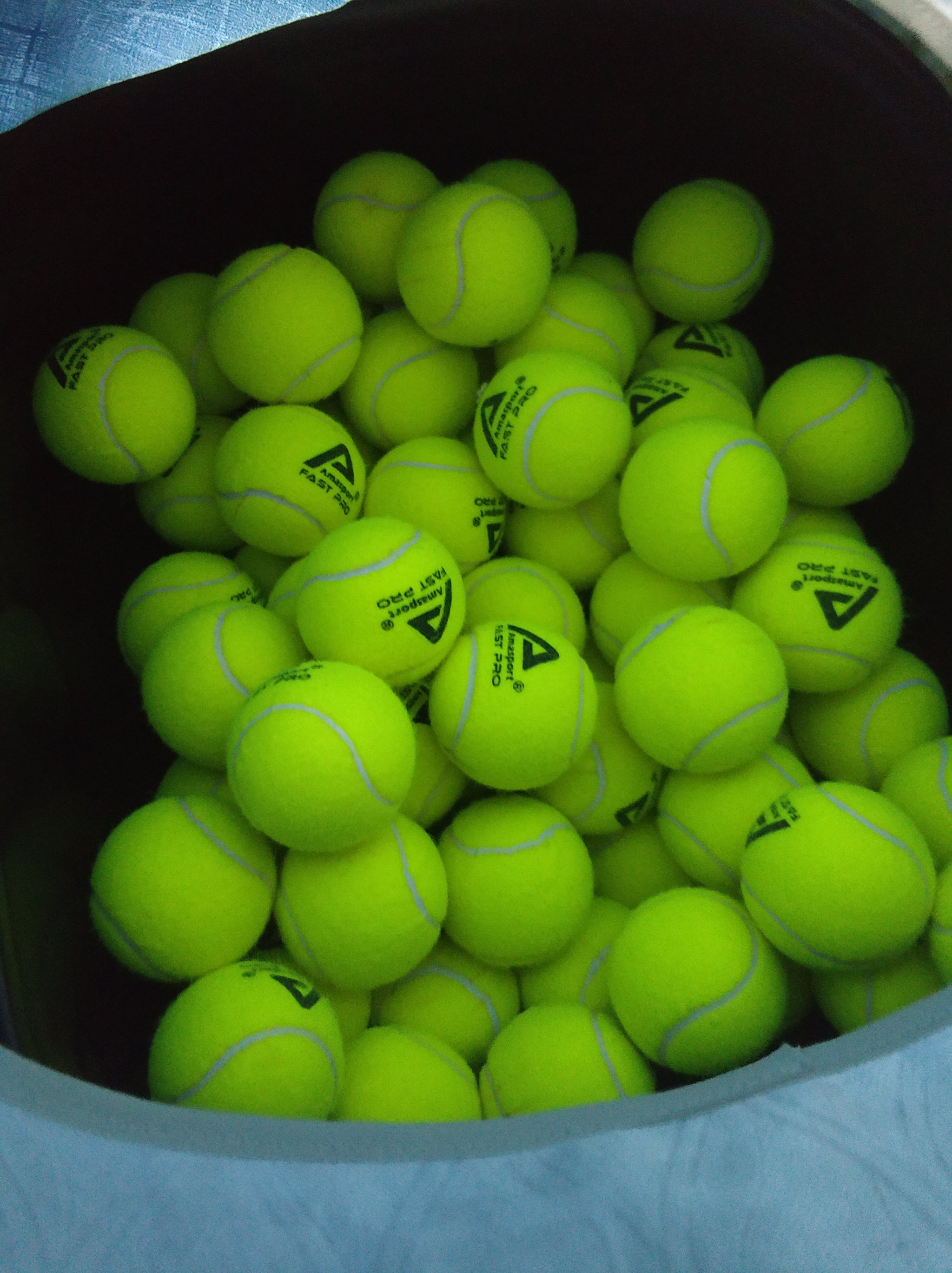 浙江队目前 浙江队目前